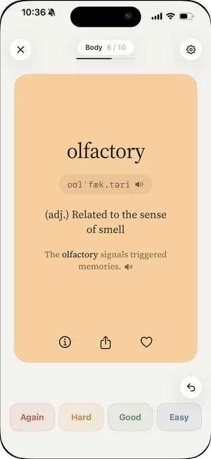 Vocaby word card for ‘olfactory’ showing IPA pronunciation, an ‘(adj.) related to the sense of smell’ definition, an example sentence, and the Again / Hard / Good / Easy review buttons