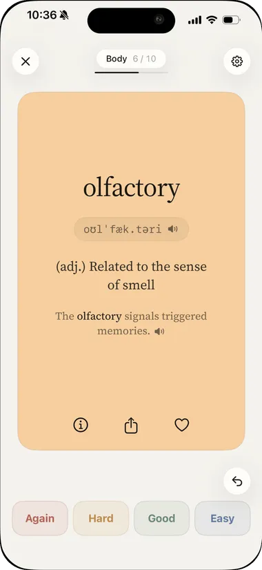 Vocaby word card for ‘olfactory’ showing IPA pronunciation, an ‘(adj.) related to the sense of smell’ definition, an example sentence, and the Again / Hard / Good / Easy review buttons
